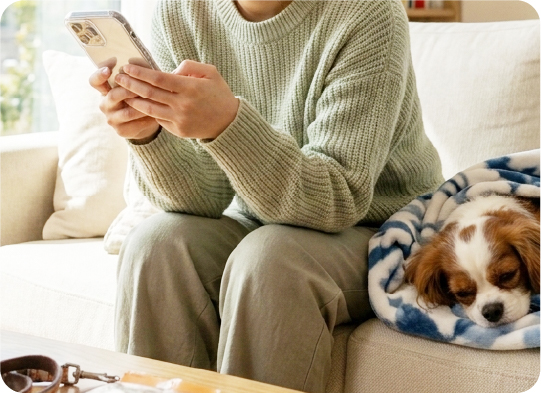 体調の悪い犬を心配しLINEで相談している様子