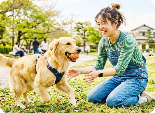 犬とボールで遊んでいる様子