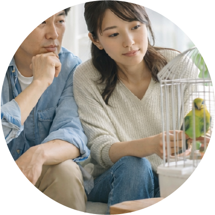 鳥を見つめてる不安そうな夫婦