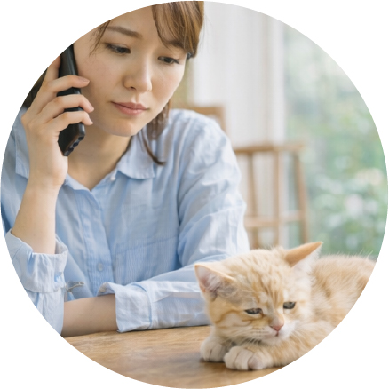 体調不良の猫を見て病院に電話をかけてる女性