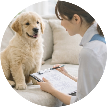犬のカウンセリングをしている女性カウンセラー